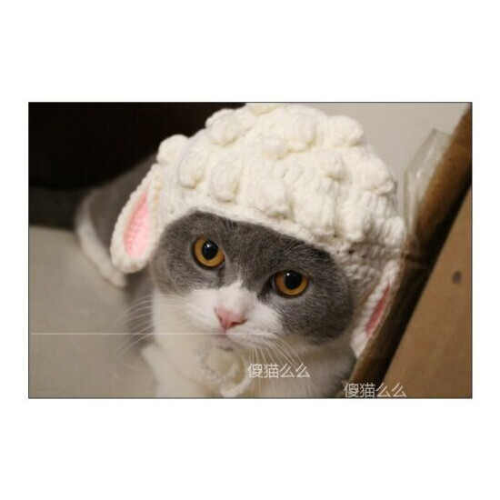 Pet Kitten Woolen Cap Knitted Cosplay sheep Cap For Cat Holiday Party Accessory image {4}