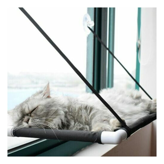 Kitten Hammock Bed Mount Window 10kg Cat Pet Bed Mat Window Suction Lounger Sofa image {1}