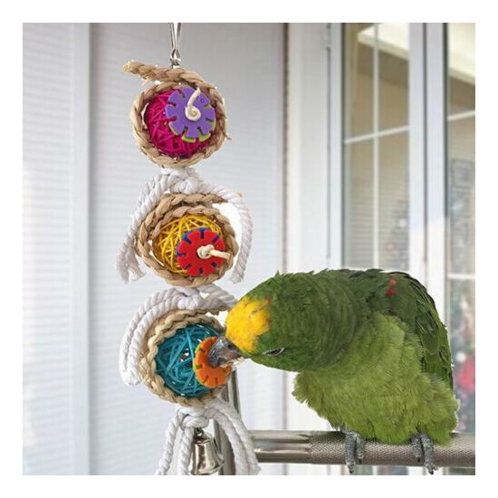 Parrot Toys Bird Toy Pet Birds Bites Climb Chew Parakeet Budgie Hanging CF image {2}