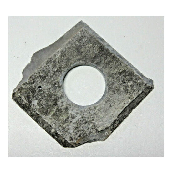 Bird nest box hole protector plate Welsh Slate 25 or 32 mm  image {2}
