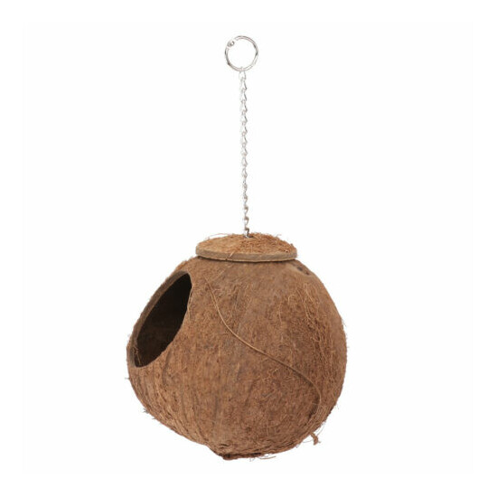 1PC Coconut Shell Birds Nest Pet Parrot Biting Plaything for Birds Parrot image {6}
