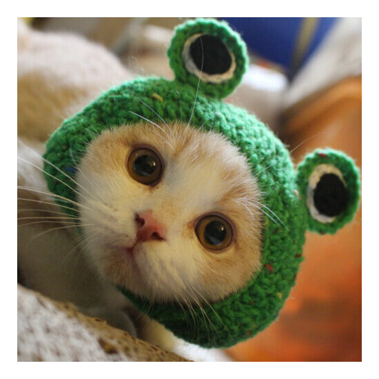 Cute Pet cat Kitten frog prince Hat Tiara Knit Headgear Decorative Xmas Decor image {1}