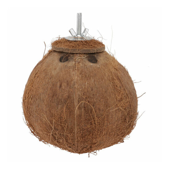 1PC Coconut Shell Birds Nest Pet Parrot Biting Plaything for Birds Parrot image {7}