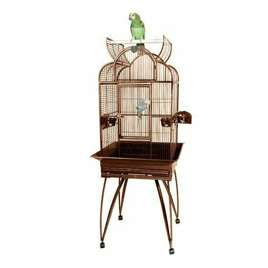 King's Cages SLT4 2217 Small Parrot Bird Cage 22X17X63 Toys Cockatiel Budgies image {5}