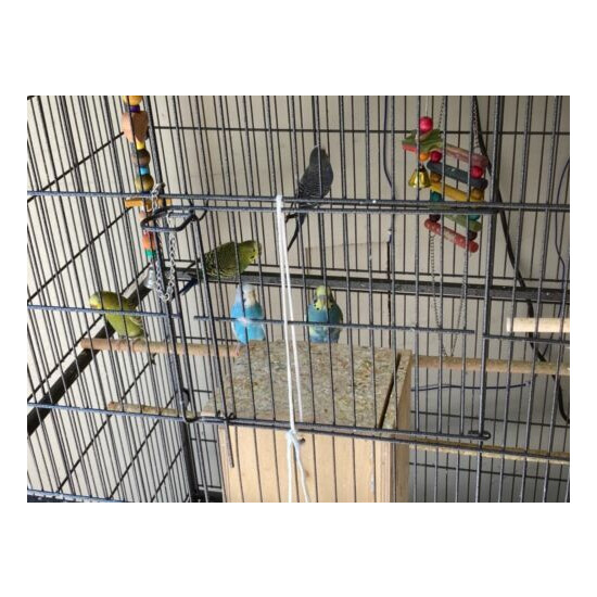 bird cage+ parakeets+ Accessories image {4}