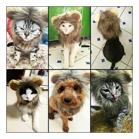 Furry Lion Hair Mane Dog / Cat Hat W/ Ears Cute Costume Headwear Pet Accessory image {2}