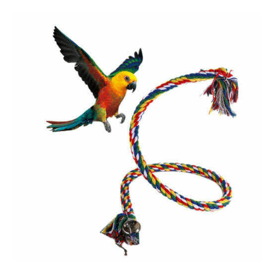 Bird Cockatiel Chew Climbing Ropes Budgie Bell Perch Coil Swing Cage Toy US image {6}