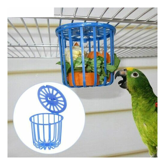 Parrot Feeder Cage Fruit Vegetable Holder Cage Accessories Hanging Basket Contai image {1}
