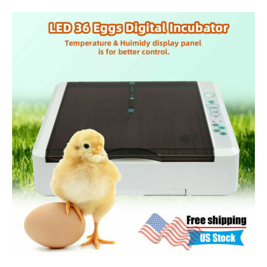 36 Egg Practical Fully Automatic Poultry Incubator with LED Light US Plug image {3}