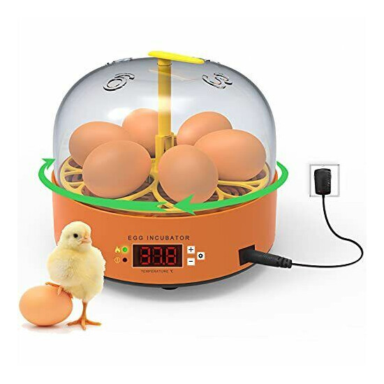 Egg Incubator 6 Eggs Hatcher Poultry Hatching Machine with Automatic Egg Turn... image {1}