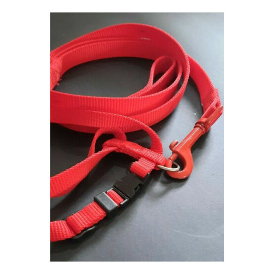 Adjustable Size Cat Harness and Leash image {2}