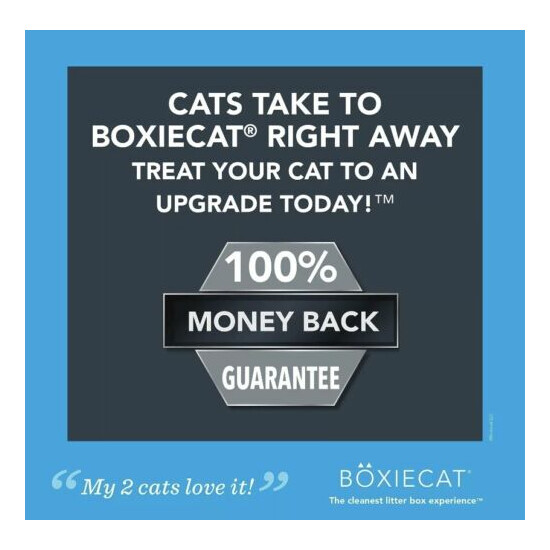 Boxiecat Premium Clumping Cat Litter - Scent Free - Clay Formula - Ultra Clea... image {6}