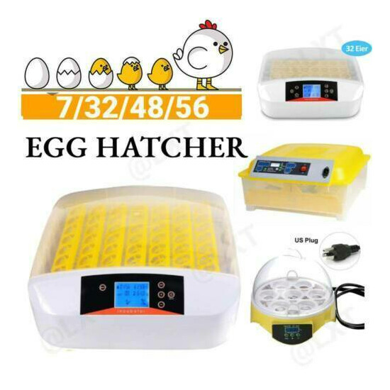New Digital Egg Incubator Hatcher Temperature Control Automatic Turning Chicken image {1}