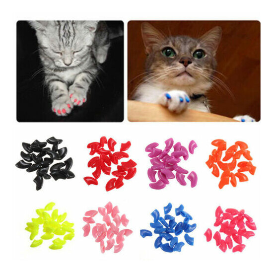 20Pcs Silicone Cat Nail Caps Tips Colorful Soft Paws Covers for Pet Kitty Claws image {1}
