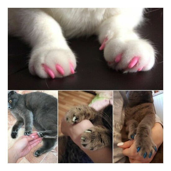 Cat Nail Caps Pet Nails Cover Soft Claw Adhesive Protector Paws Dog Kitten Kitty image {3}