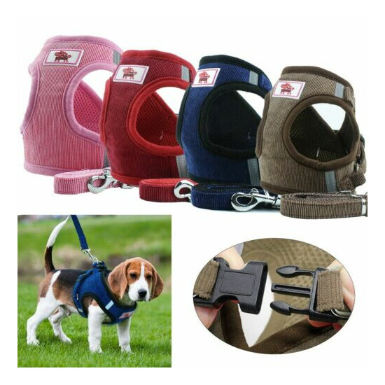 Breathable Small Dog Cat Pet Mesh harness Vest Collar Chest Strap Leash XS-XL image {1}