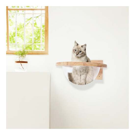 Cat Bed Wall Mounted Shelve Curved Furniture Climbing Perching Sleeping Lounging image {1}