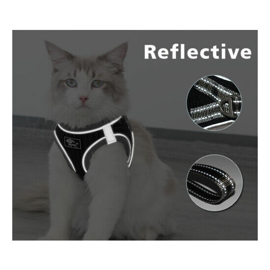 Cat Harness Reflective Walking Adjustable Vest Lightweight, 5ft Leash image {4}