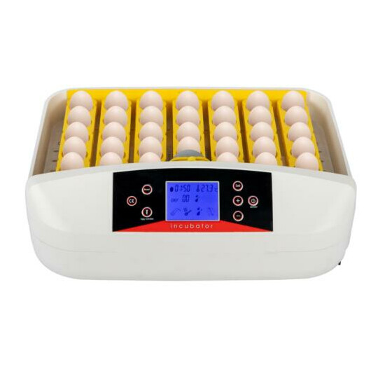42 Eggs Practical Automatic Poultry Incubator with Egg Candler US Standard image {1}