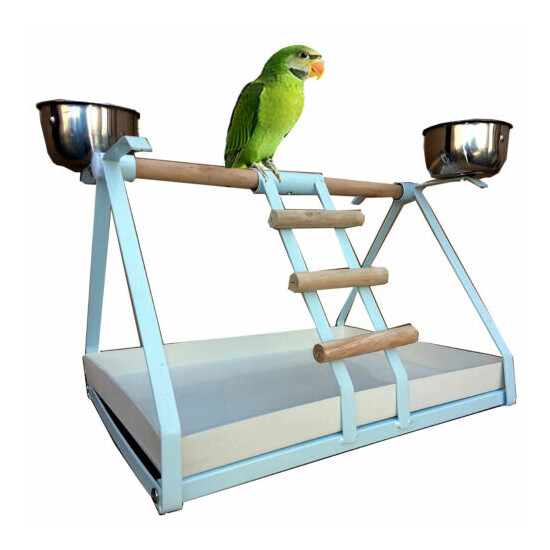 SMALL PARROT BIRD METAL PLAYSTAND Play Gym W/Stainless Steel Cups WTE - 132 image {1}