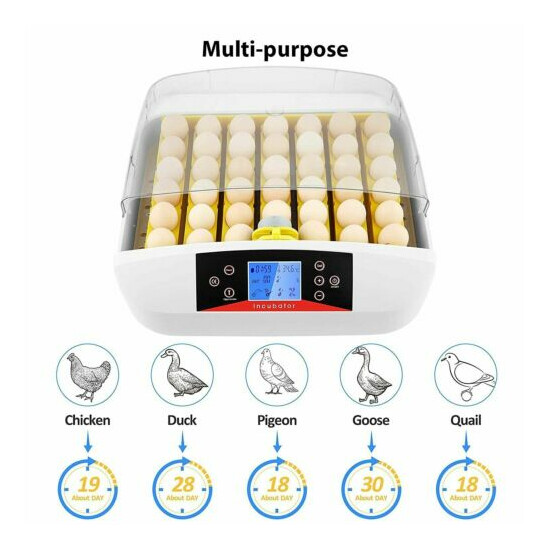 Digital Automatic 41 Egg Incubator Hatcher Turn Bird Chicken with LED Dilplay- image {4}