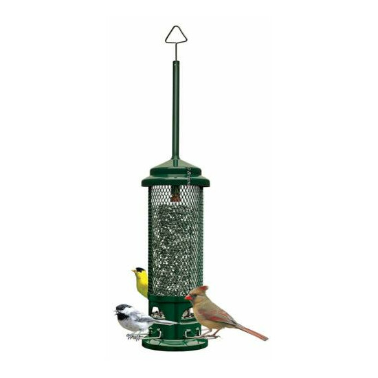 4 Pack Brome Squirrel Buster Legacy Wild Bird Feeder 1082 Squirrel Proof Holds image {2}
