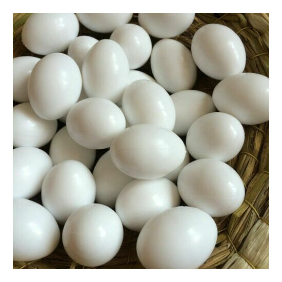 10pcs Solid Plastic Eggs Dummy Eggs For pigeons white color image {4}