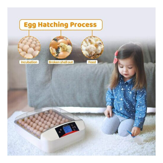 Egg Incubator 55 Practical Fully Automatic Poultry with Egg Candler Temp Control image {8}
