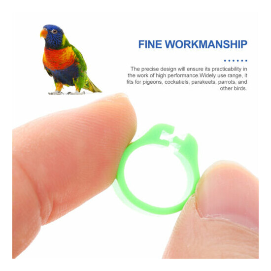 300Pcs Parrot Leg Clip Bands Colorful Pigeon Clip Rings for Farm Home Birds image {7}