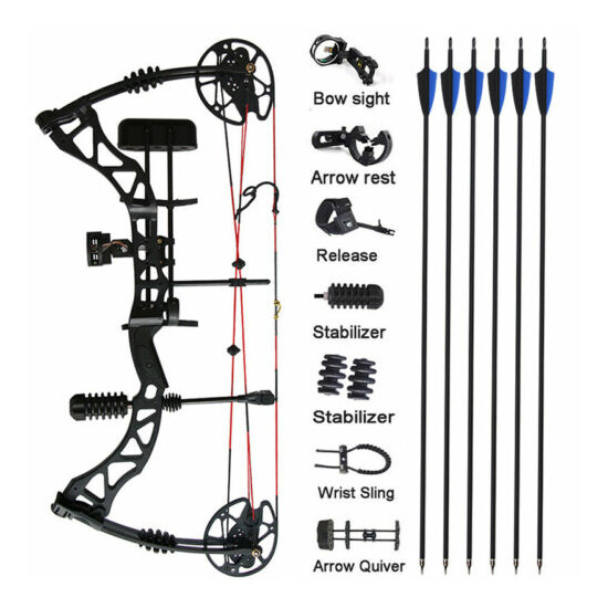 Compound Bow Arrow Kit 30-70lbs 329fps Archery Hunting Shooting Target image {10}
