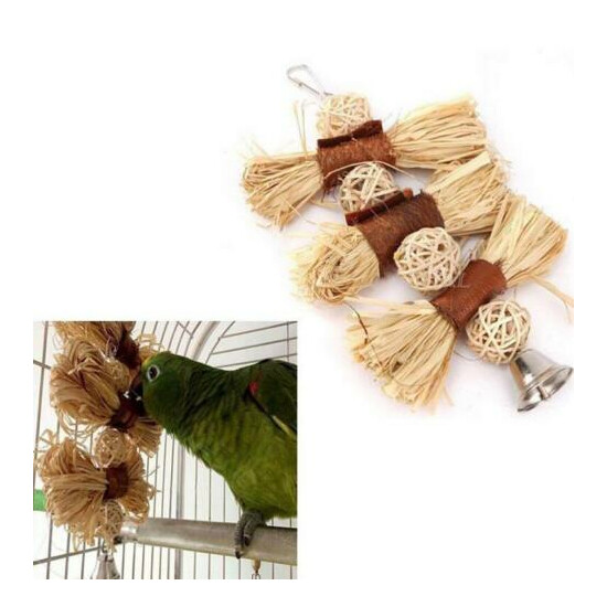 Pet Bird Bites Toy Parrot Chew Ball Toys Swing Cage Hanging Cockatiel ParakE~AA image {1}