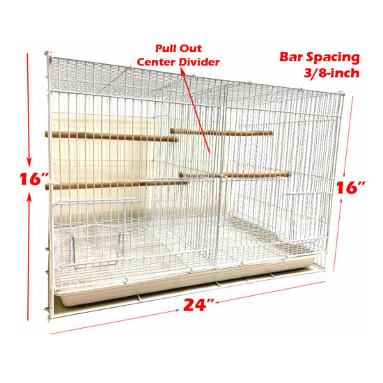 Case of 6 Aviary Canary Breeding Flight Bird With Center Divider Cages 24x16x16H image {3}