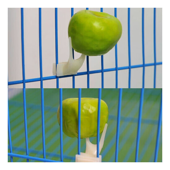 Birds Parrots Fruit Fork Plastic Food Holder Feeding On Cage Pet Supplies CF image {2}