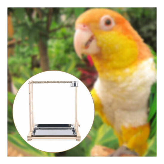 Pet Bird Standing Bar Parrot Toy Tree Climbing Game Playing Cage with 2 Cups USA image {3}