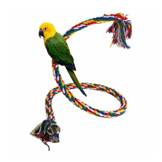 Bird Cockatiel Chew Climbing Ropes Budgie Bell Perch Coil Swing Cage Toy US image {8}