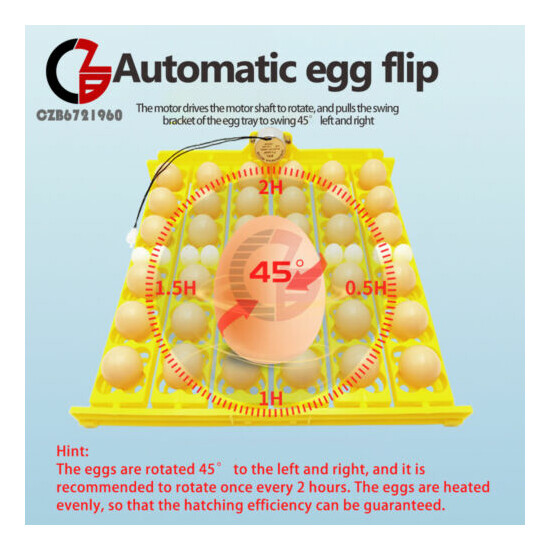 Automatic Duck Bird Incubator Capacity 36 Chicken Egg 156 Bird Egg Tray w/ Motor image {1}