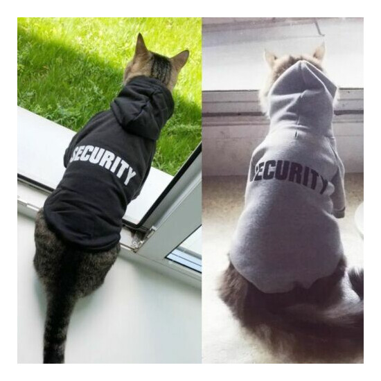 Cat Clothes Pet Coats Security Jacket Hoodies Outfit Warm Clothing Rabbit Animal image {1}