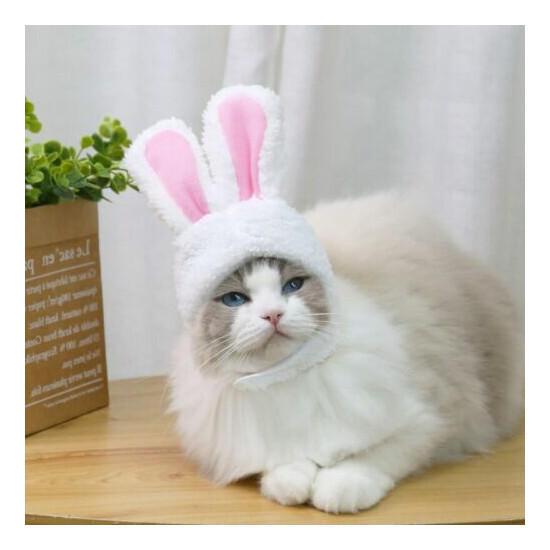 Cat Bunny Rabbit Ears Caps Hat Pet Cosplay Costumes Party For Cat Small Dog* image {2}