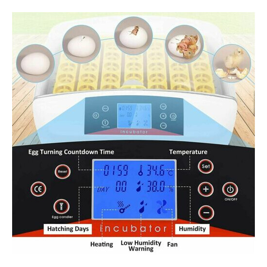 Digital Automatic 41 Egg Incubator Hatcher Turn Bird Chicken with LED Dilplay- image {2}