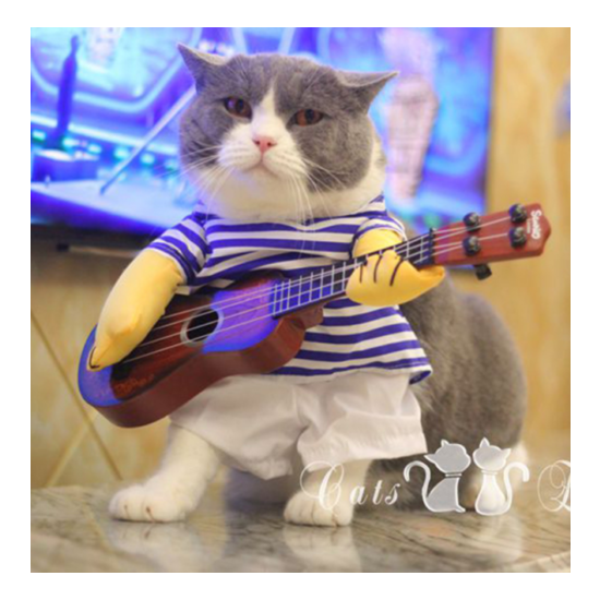 Pet Funny Guitar Costume Halloween Cosplay Outfit For Dog Cat Pet Accessories image {1}