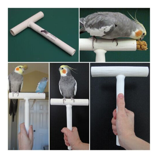 The Bird Trainer T-Perch - Portable T-Perch - For most Companion Birds/Parrots  image {6}