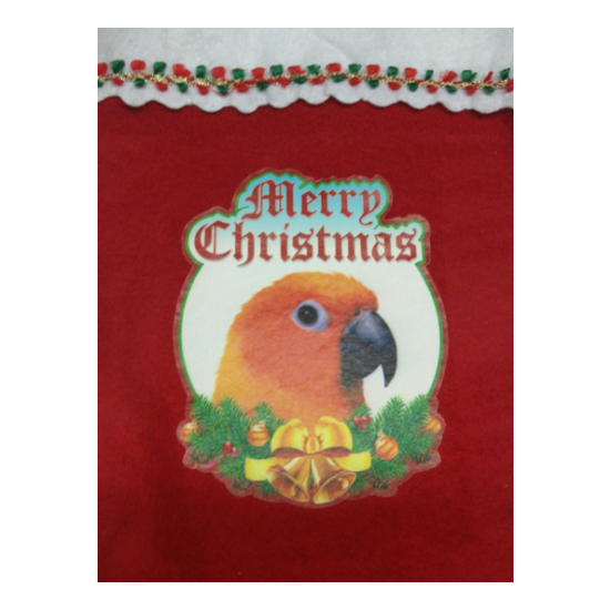 Jenday Conure / Jandaya Parakeet Parrot Exotic Bird Christmas Stockings image {3}