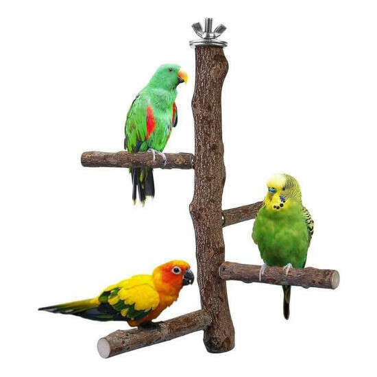 Bird Parrot Hanging Wood Stand Swing Cage Toy Budgie Cage Perch Stand Play W8G4 image {1}