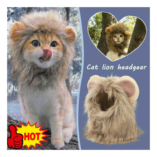 Furry Pet Hat Costume Lion Mane Wig For Cat Halloween Ears With Dress Up H9J2 image {3}