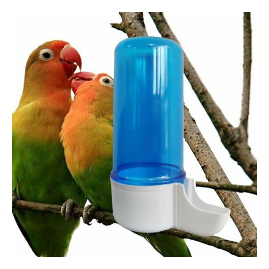 Semi Automatic Parrot Drinker Parrot Feeding Box Birdcage Drinker Cage Waterer image {3}
