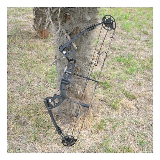 Compound Bow Carbon Arrows Set 30-55lbs Adjustable Archery Bow Shooting Hunting image {4}