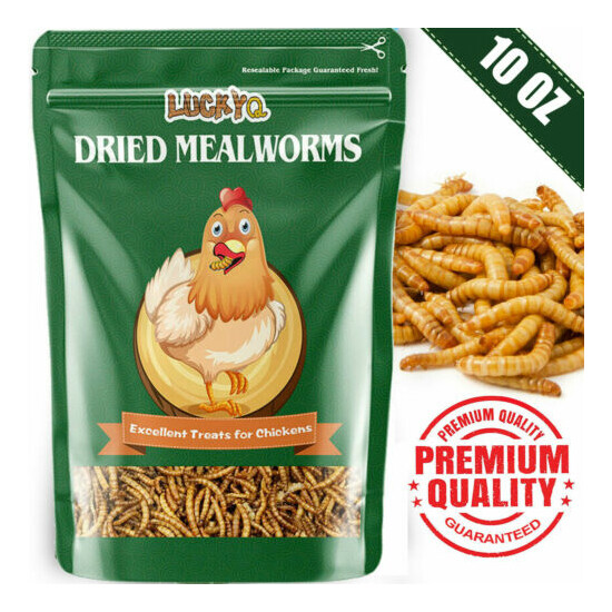 Natural Dried Mealworms 10oz Protein Bulk Food for Chicken Fish Turtles Birds US image {1}