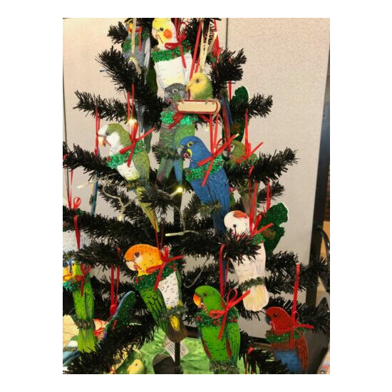 PARROT Sun Conure CHRISTMAS HOLIDAY TREE ORNAMENT  image {3}