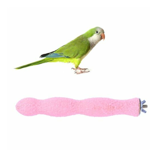 20cm Bird Parrots Perch Grinding Nail Perches for Parakeet Cockatoo Pet Supplies image {1}