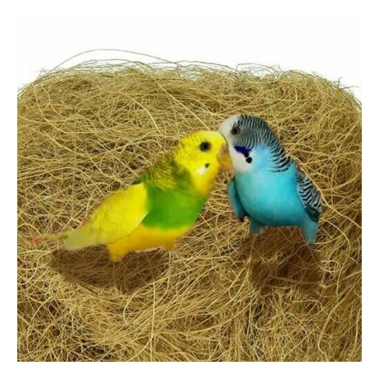 100g Pet Canary,Finch,Budgie Quality Cage Bird Nesting Material For Bird Dog Cat image {3}